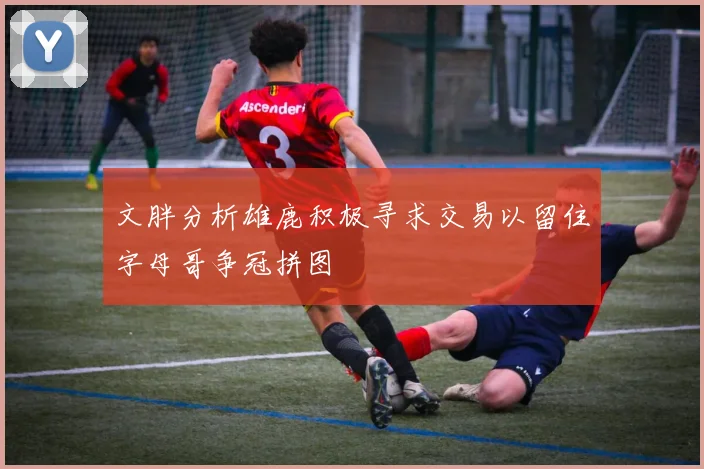 文胖分析雄鹿积极寻求交易以留住字母哥争冠拼图