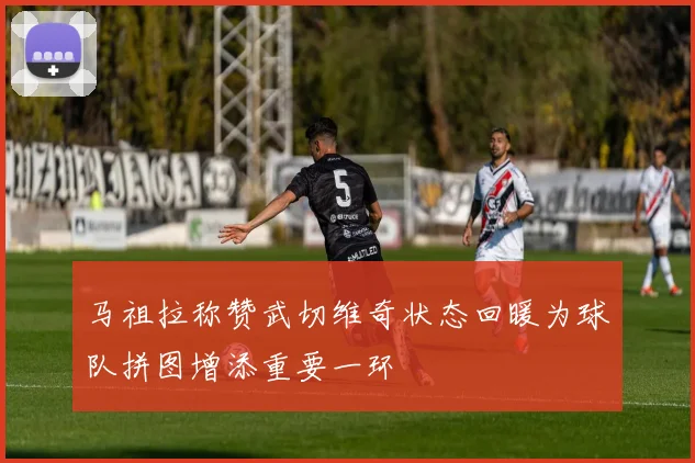 马祖拉称赞武切维奇状态回暖为球队拼图增添重要一环